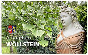 Wöllstein, Arboretum
